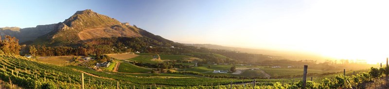 With a view to wine tasting