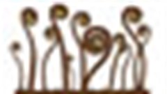 2011 Encounters Documentary Festival open for entries