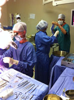 Tygerberg Hospital celebrates 400th cochlear implant