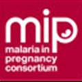 Protection of pregnant women against malaria still inadequate