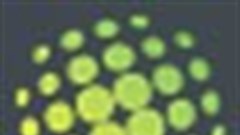 Google algorithm update slams duplicate content