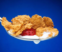 (image: Wikimedia Commons)