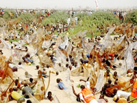 Maltina raises stake as Argungu Fishing Festival beckons