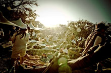 Sowing The Seeds 2011