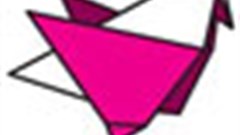 Damon Stapleton in PIAFYS Top 20