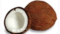 [So Queer] Coconut Man