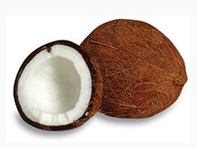 [So Queer] Coconut Man