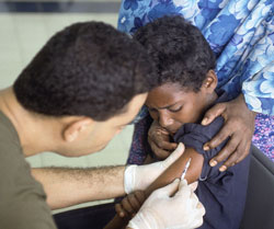 (image: Wikimedia Commons)