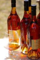 Cellar Rats offers Joburg port & sherry tasting festival