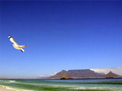 Cape Town is world's top destination