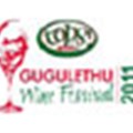 New headline sponsor for Gugulethu Wine Festival