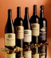 Sweden acknowledges South African winemaking