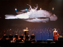 UCT Choir brings goosebumps at GIPCA