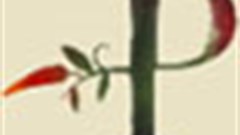 Nando's: it tastes like chicken but where is the Peri-Peri?