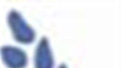 Enter the School Enterprise Challenge 2011!