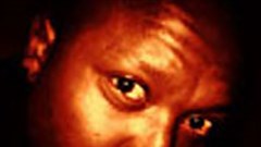 Hansa takes influencers and early adopters seriously