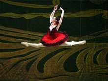 Sharing collective goosebumps at the International Ballet Gala