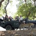 Singita takes top honours in Travel + Leisure World's Best Awards 2011