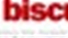 Netbiscuits traffic soars