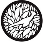 Loeries Travelling Exhibition comes home to CT