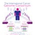 Projects launched to crack the cancer code