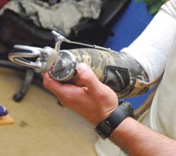 (Image: Wikimedia Commons)