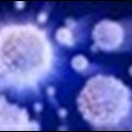 Autoimmune disease-causing cells can be controlled