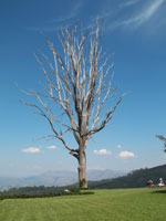 Finalists in Dorp van die Jaar 2011