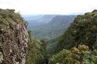 SA business not exempt from global financial crisis