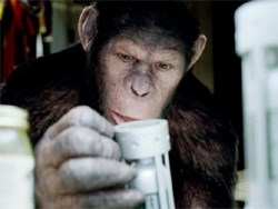 Cry &quot;Havoc,&quot; and let slip the Apes of War