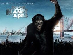 Cry &quot;Havoc,&quot; and let slip the Apes of War