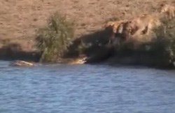 Battle at Kruger creator returns to South Africa for the E-Tourism Africa Summit