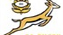 Growing support for our Boks!