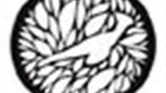 [Loeries 2011] Cape Town shines at 33rd annual Loeries