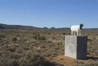 Emerging farmers on the rise