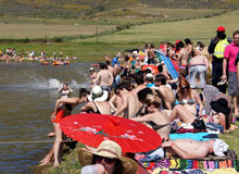Dearest darling Rocking the Daisies