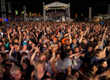 Dearest darling Rocking the Daisies