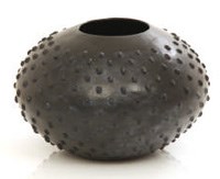 Crafty idea on TRAC for invasive alien trees