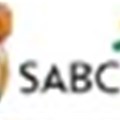 SABC, government hold workshop on COP17