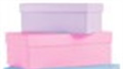 Purchase preferences: How families are socially influenced