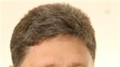 Fast politicians, cowed cricketers, busy apples and Indiana Jones