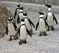 Make gifting meaningful this year