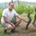 New winemaker at Delheim