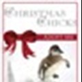 Adopt a penguin this festive season