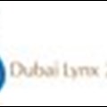 Dubai Lynx 2012 jury presidents announced