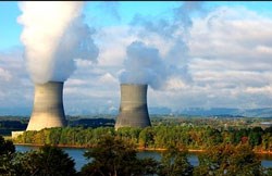 Twelve simple steps for going green in 2012