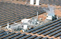 Twelve simple steps for going green in 2012