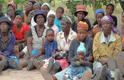 Twelve simple steps for going green in 2012