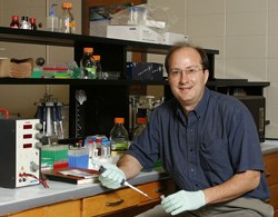 Thomas Schmittgen: “Overall, this study provides proof-of-principle for further development of microRNA-targeted therapies for hepatocellular carcinomas.&quot;