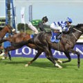 Gimmethegreenlight snatches limelight at the L'Ormarins Queen's Plate